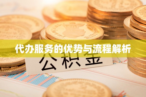 新平代办服务的优势与流程解析