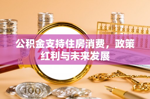 新平公积金支持住房消费，政策红利与未来发展