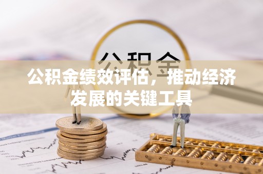 新平公积金绩效评估，推动经济发展的关键工具