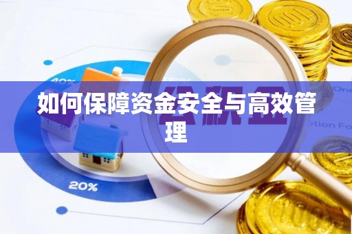 新平如何保障资金安全与高效管理