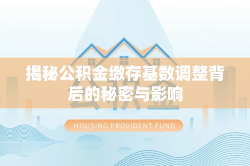 新平揭秘公积金缴存基数调整背后的秘密与影响