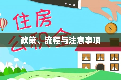 新平政策、流程与注意事项
