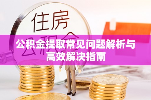 新平公积金提取常见问题解析与高效解决指南
