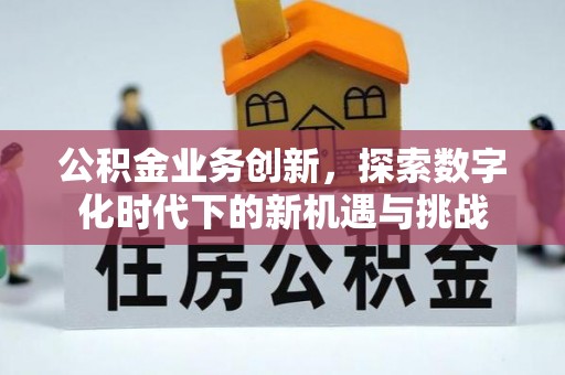 新平公积金业务创新，探索数字化时代下的新机遇与挑战
