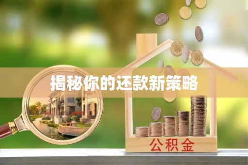 新平揭秘你的还款新策略