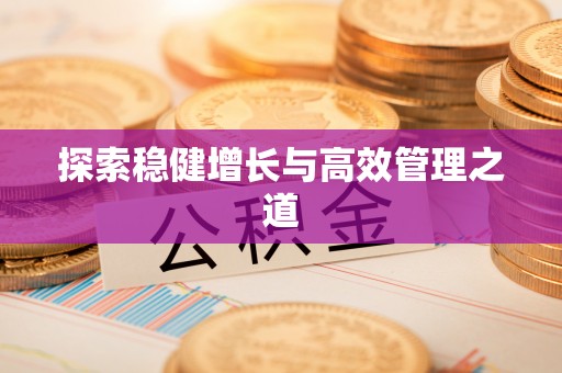 新平探索稳健增长与高效管理之道