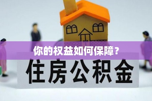 新平你的权益如何保障？