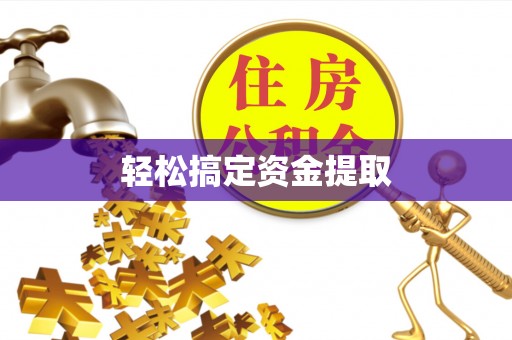 新平轻松搞定资金提取