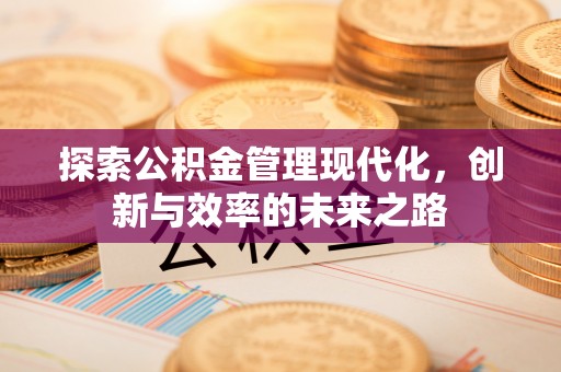 新平探索公积金管理现代化，创新与效率的未来之路