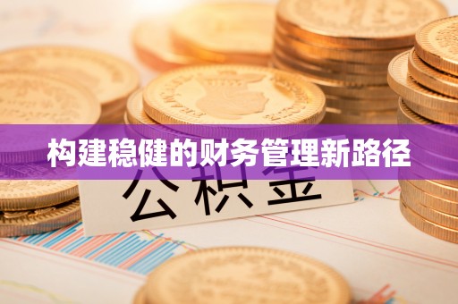 新平构建稳健的财务管理新路径