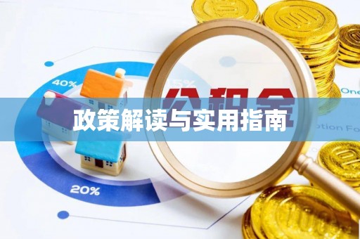 新平政策解读与实用指南
