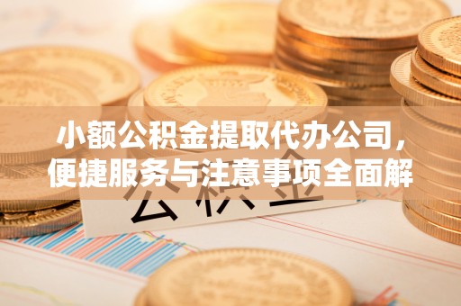 新平小额公积金提取代办公司，便捷服务与注意事项全面解析