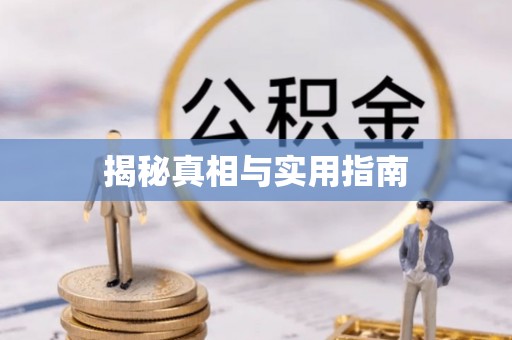 新平揭秘真相与实用指南