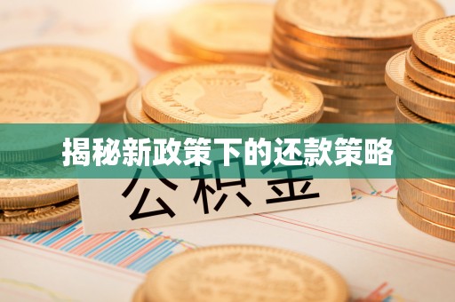 新平揭秘新政策下的还款策略