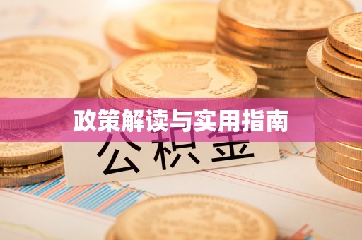 新平政策解读与实用指南