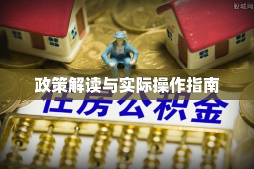 新平政策解读与实际操作指南