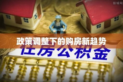 新平政策调整下的购房新趋势