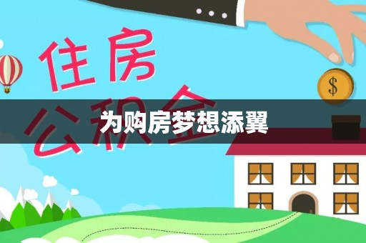 新平为购房梦想添翼