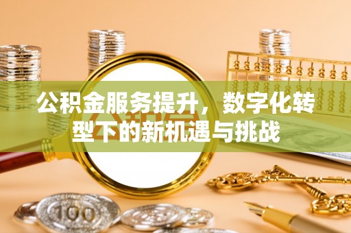新平公积金服务提升，数字化转型下的新机遇与挑战