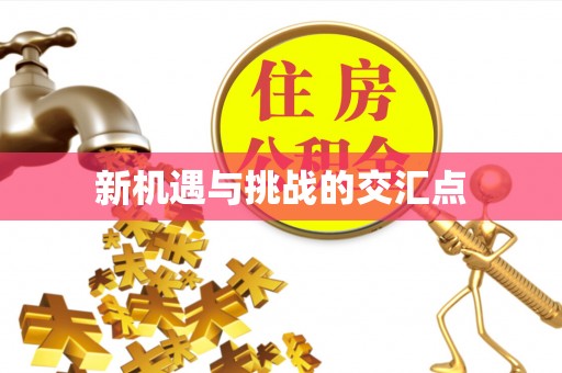 新平新机遇与挑战的交汇点