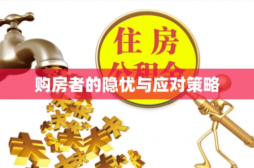 新平购房者的隐忧与应对策略