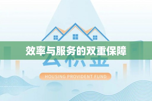 新平效率与服务的双重保障