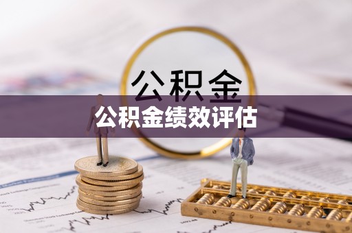 新平公积金绩效评估