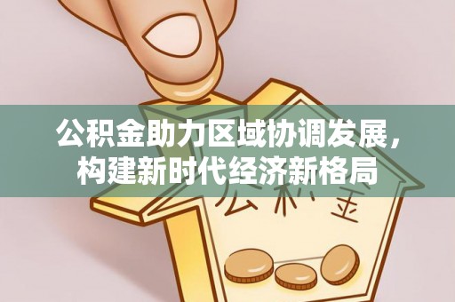 新平公积金助力区域协调发展，构建新时代经济新格局