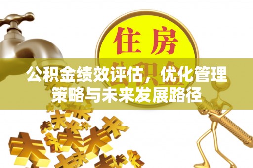 新平公积金绩效评估，优化管理策略与未来发展路径