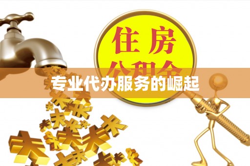 新平专业代办服务的崛起