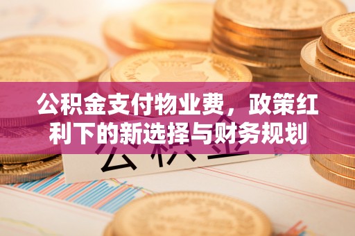 新平公积金支付物业费，政策红利下的新选择与财务规划