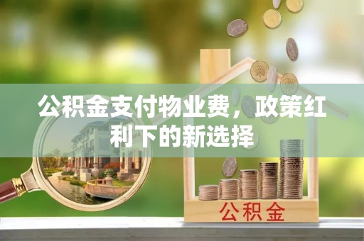 新平公积金支付物业费，政策红利下的新选择