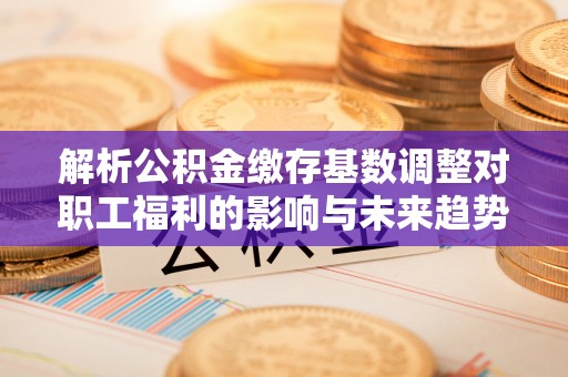 新平解析公积金缴存基数调整对职工福利的影响与未来趋势