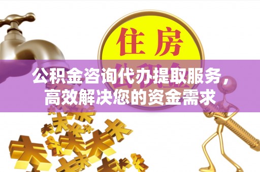 新平公积金咨询代办提取服务，高效解决您的资金需求