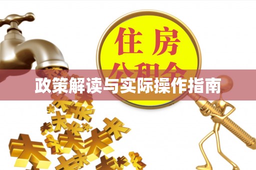 新平政策解读与实际操作指南