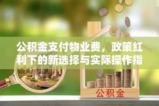 新平公积金支付物业费，政策红利下的新选择与实际操作指南
