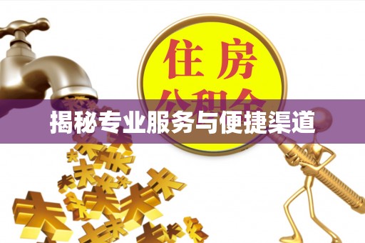 新平揭秘专业服务与便捷渠道