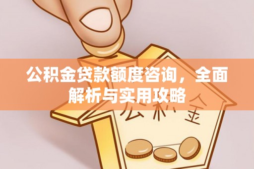 新平公积金贷款额度咨询，全面解析与实用攻略