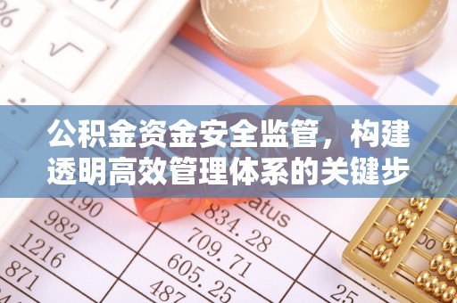 新平公积金资金安全监管，构建透明高效管理体系的关键步骤