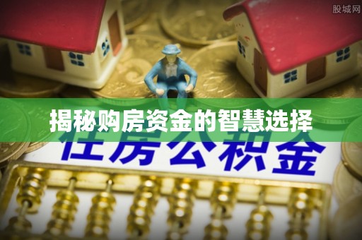 新平揭秘购房资金的智慧选择