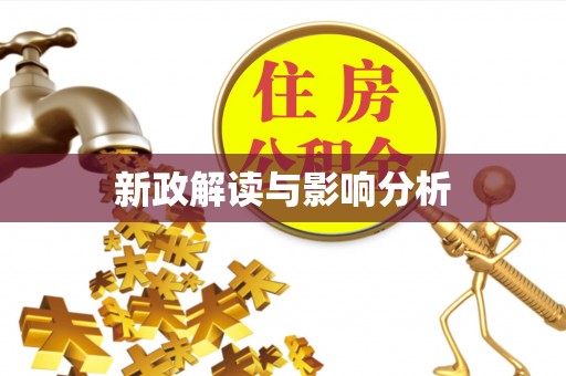新平新政解读与影响分析