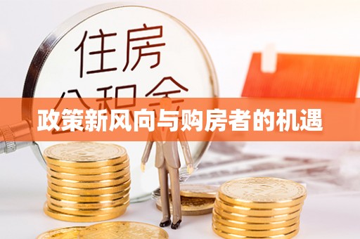 新平政策新风向与购房者的机遇