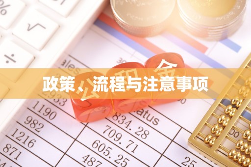 新平政策、流程与注意事项