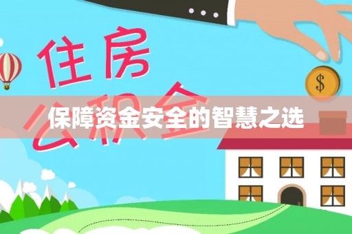 新平保障资金安全的智慧之选