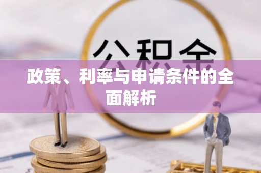新平政策、利率与申请条件的全面解析