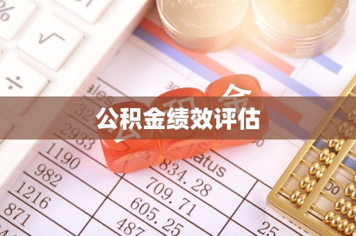 新平公积金绩效评估