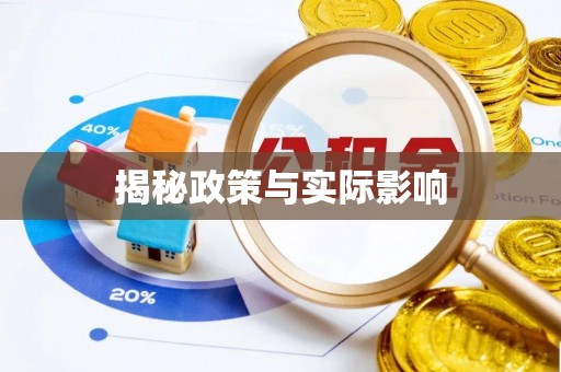新平揭秘政策与实际影响