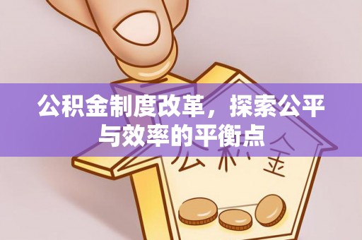 新平公积金制度改革，探索公平与效率的平衡点