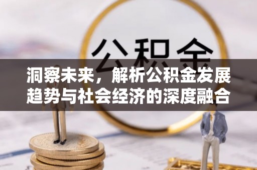 新平洞察未来，解析公积金发展趋势与社会经济的深度融合
