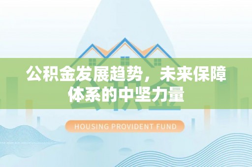 新平公积金发展趋势，未来保障体系的中坚力量